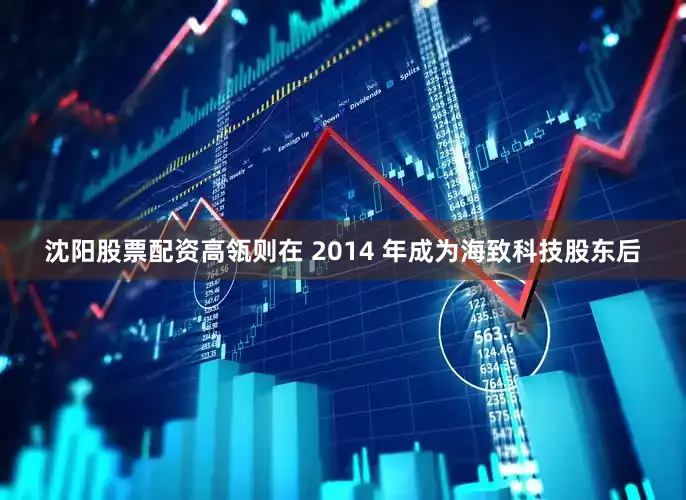 沈阳股票配资高瓴则在 2014 年成为海致科技股东后