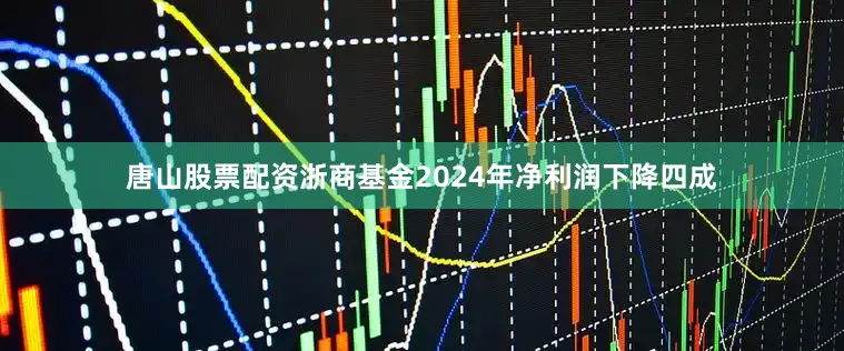 唐山股票配资浙商基金2024年净利润下降四成