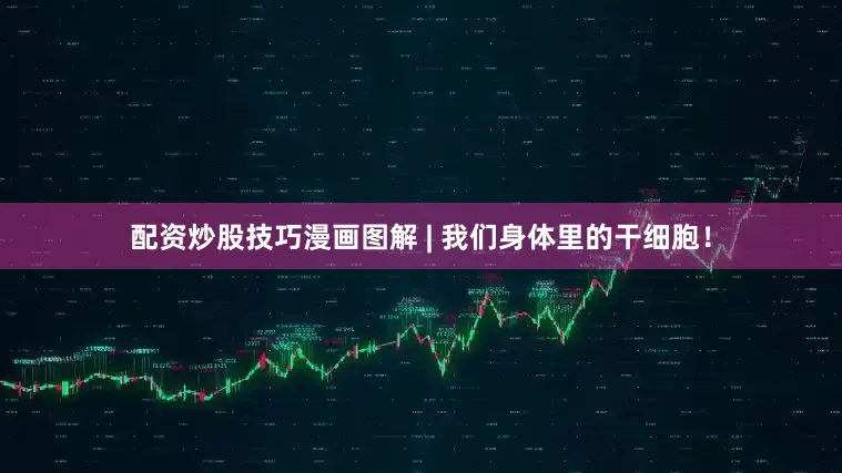 配资炒股技巧漫画图解 | 我们身体里的干细胞！