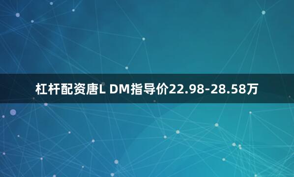 杠杆配资唐L DM指导价22.98-28.58万