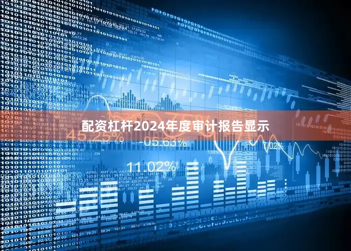 配资杠杆2024年度审计报告显示