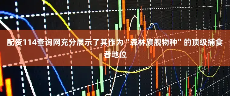 配资114查询网充分展示了其作为“森林旗舰物种”的顶级捕食者地位