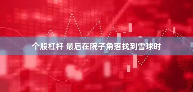 个股杠杆 最后在院子角落找到雪球时